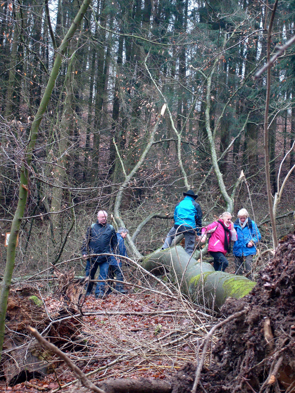 Wandern%20nach%20Balduinstein%2017.2.13%20002_2304x3072 Wandern%20nach%20Balduinstein%2017.2.13%20002_2304x3072